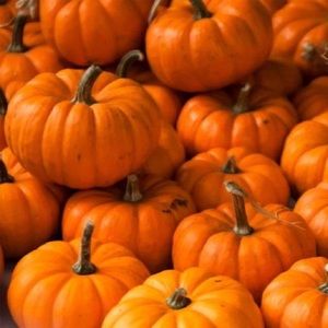 Meet your Posher, Tionna